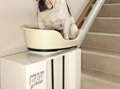 British Insurance Company Designs Lift Shuttle Dogs Down Stairs