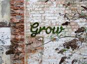 Your Neighbour Jerk Face? Green Moss Graffiti Rescue…