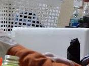 Review: Science Balls Under Sofa