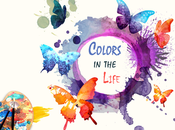 Usages Colors Life Designers