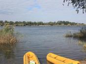 DAILY PHOTO: Floating Zambezi