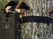 Trail Cameras During Season Effectively