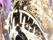 Indicators Evil Heart