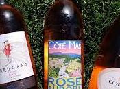 Rose with Domaines Paul