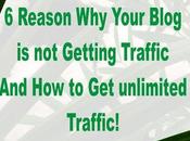 Reason Your Blog Getting Traffic Unlimited Traffic!