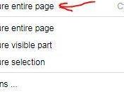 Take Full Webpage Screenshots Browser