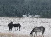 H&amp;H Part Kaplan Everyone