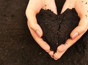 Growing Acid-loving Plants Acidic Alkaline Garden