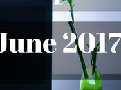 Blog Income Report Tips Increase Your Earnings: June 2017