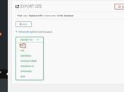 Move WordPress Site Host With Zero Downtime