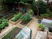 Empty Beds Wasted Space?