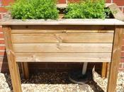 Technique Growing Trailing Tomatoes