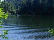 Discovering Oregon: Loon Lake Lodge