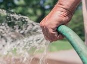 Easy Landscaping Ideas Hacks Beginners