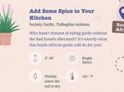 Travel World Without Leaving Home with These Houseplants