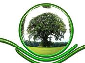 Eco-friendly Products Improve Your Home