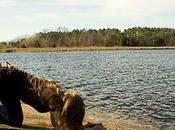 Arrogance Self-sufficiency