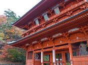 Kansai Diaries: Koyasan Sidewalk Shorts