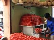 False Dietary Beliefs That Sabotage Weight Loss