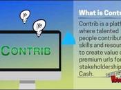 Contrib.com Looks Pretty Interesting