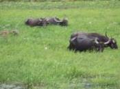 POEM: Seems There’s Story