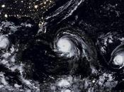 Cyclone Jose Irma Preparedness Treatment People