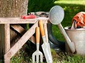 Different Types Horticultural Tools Used Gardening