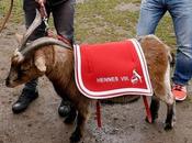Thousands Köln Fans Invade London