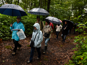 European Heritage Days: Walk Woods Courtesy Thales