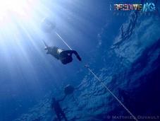 Insightful Weekend Prelude Free Diving