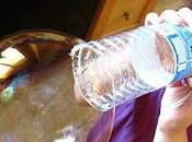 Frugal Freebie Tips Crafts (ALL)