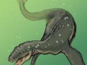 Less Famous Cryptids