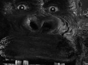 Beauty Beast: King Kong Ring Composition, Plus Myth Logic