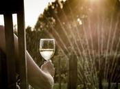 Best Technologies Quick Home Upgrade