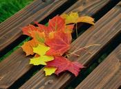 Great Landscaping Tips Fall