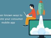 Lesser-known Ways Promote Your Consumer Mobile