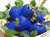 Make Your Garden Beautiful Sight With Special Seeds