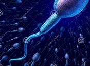 Difference Between Sperm Count Motility