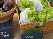 Chicago Farmers Markets Sticking Around Through Fall