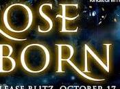 Rose Reborn Harlow @ejbookpromos