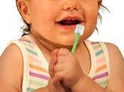 Best Toothbrush Toddlers Baby 2018.