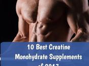 Best Creatine Monohydrate Supplements 2017