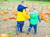 Autumn Trip Pumpkin Patch