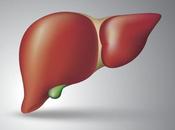 Experts Raise Flag Over Fatty Liver Disease