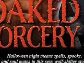 Cloaked Sorcery Walsh @ejbookpromos @tfwalsh