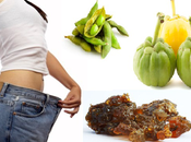 Control Obesity With Best Home Remedies Weight Loss