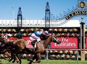 Ultimate Horse Racing Holiday Your Next Sporting Getaway