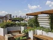 Great Rooftop Garden Ideas