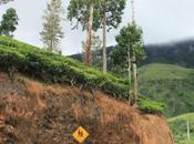 DAILY PHOTO: Cornering Country