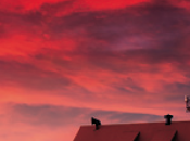 FREEBIE: National Geographic Guide Photography (ALL)